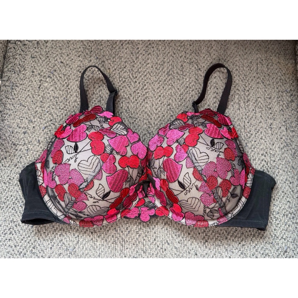 Torrid Mesh Heart and Cherry Push Up Plunge Bra Size 40D